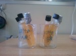 NBRC13948の植え継ぎ