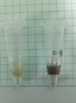 アクリル樹脂を用いた溶液の再実験