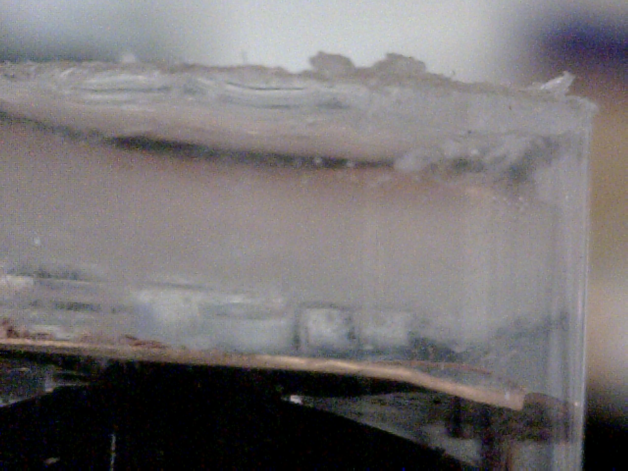 電界紡糸による気液界面への膜形成実験No.2