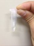 ポリマー溶液作製